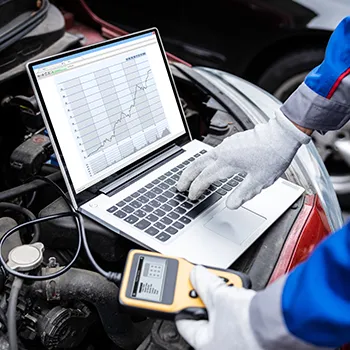 Diagnostics in Malta, IL